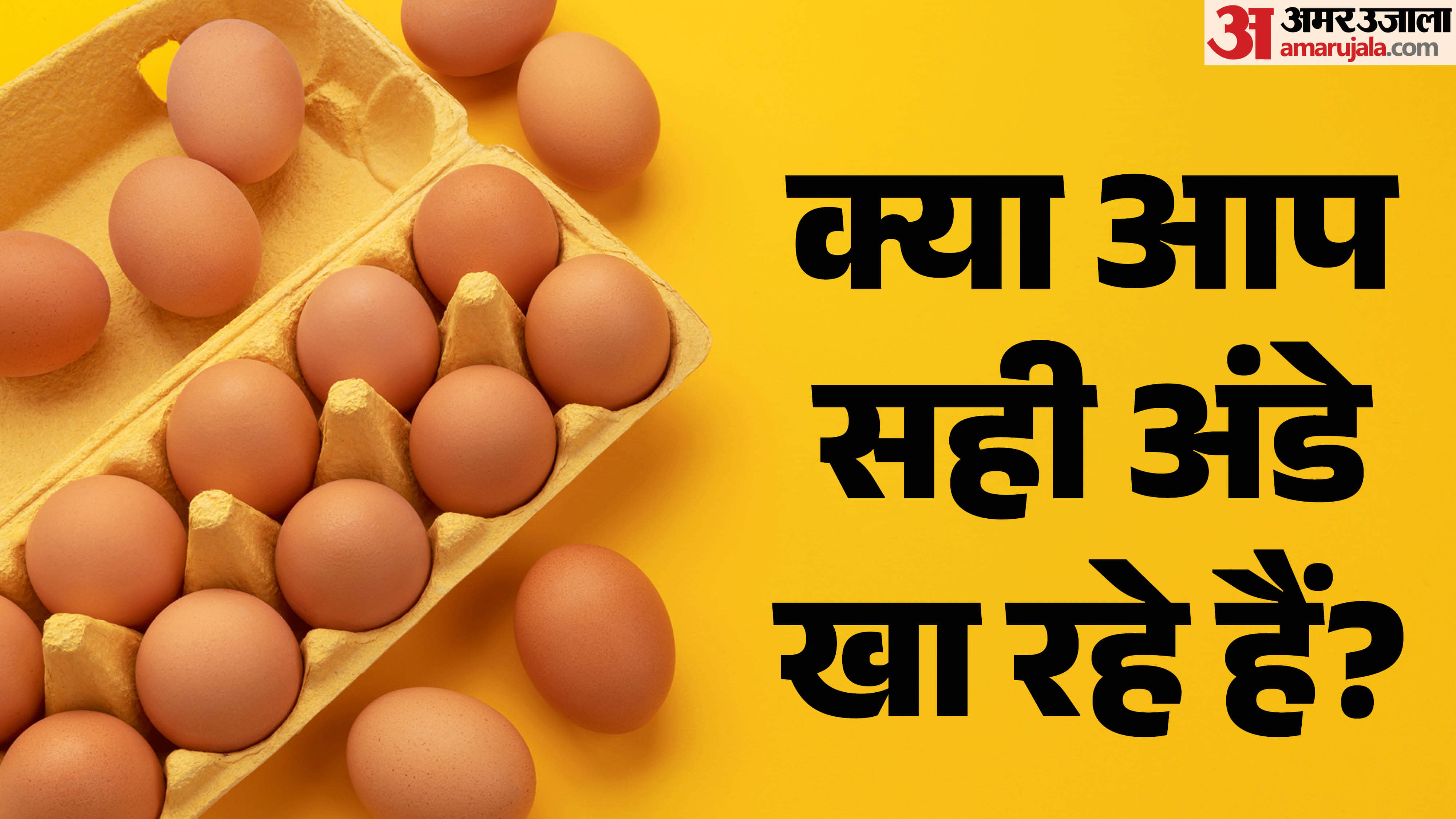 side effect of eating expire egg in hindi how to check expired eggs