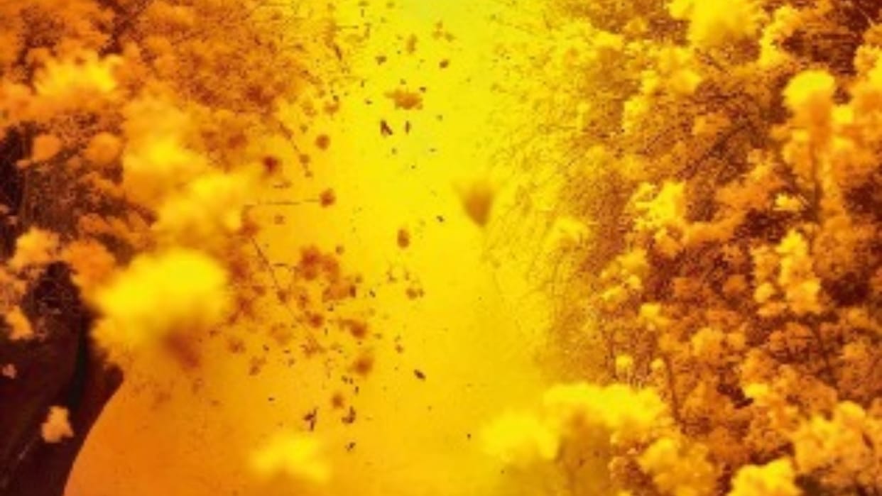 The Invisible Flow of Life Holds the Greatest Beauty