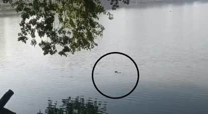 Kanpur Unidentified Body Found in Kargil Park Lake Morning Walkers Left Shocked as Police Launch Investigation