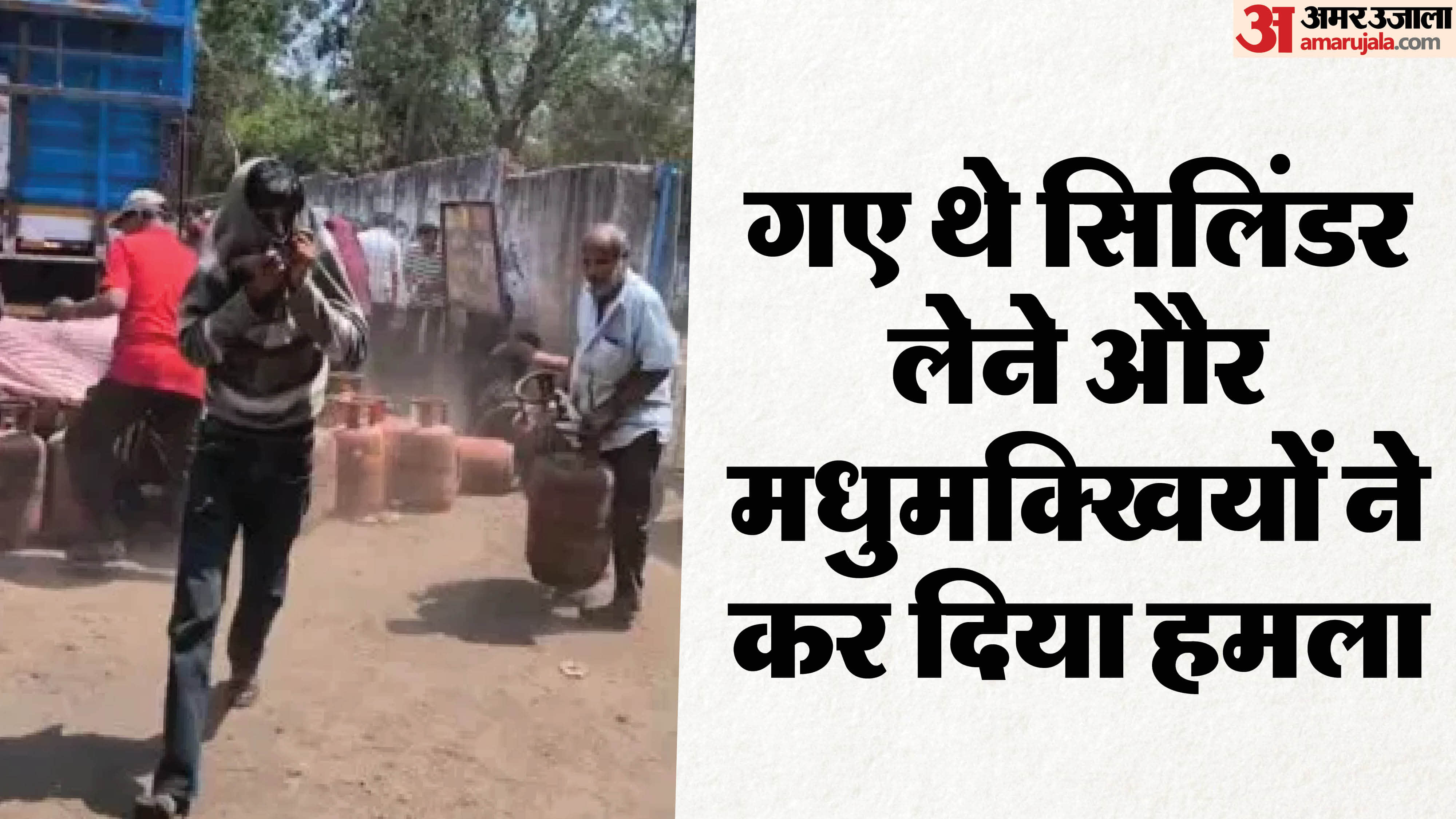 मधुमक्खियों का हमला