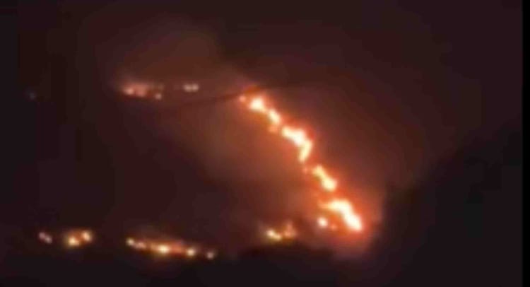 Bihar News: बुढन पहाड़ी पर भीषण आग, कई किलोमीटर दूर तक दिखीं लपटें, वन संपदा पर खतरा