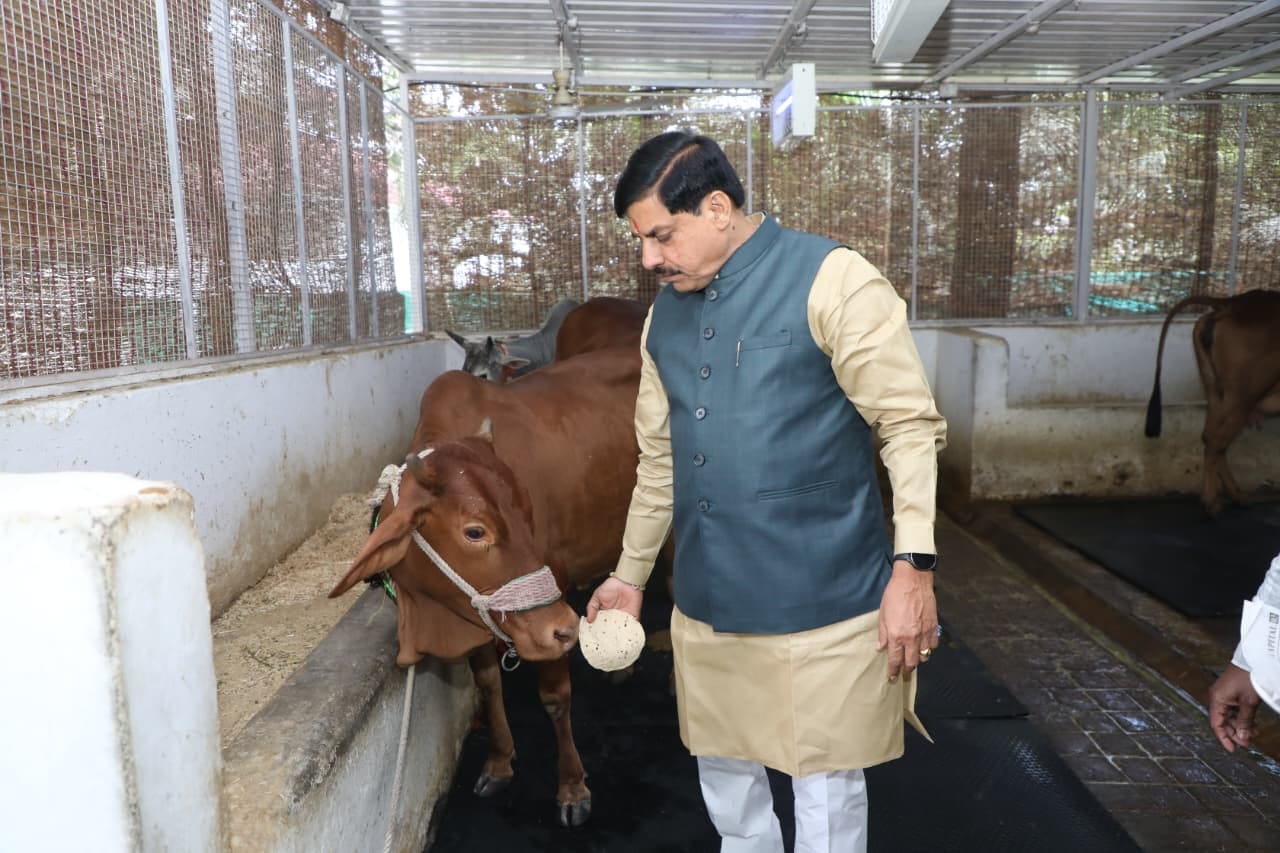 MP News: CM Yadav turns 61, PM Modi and Amit Shah extend their congratulations, begins day by feeding grass to