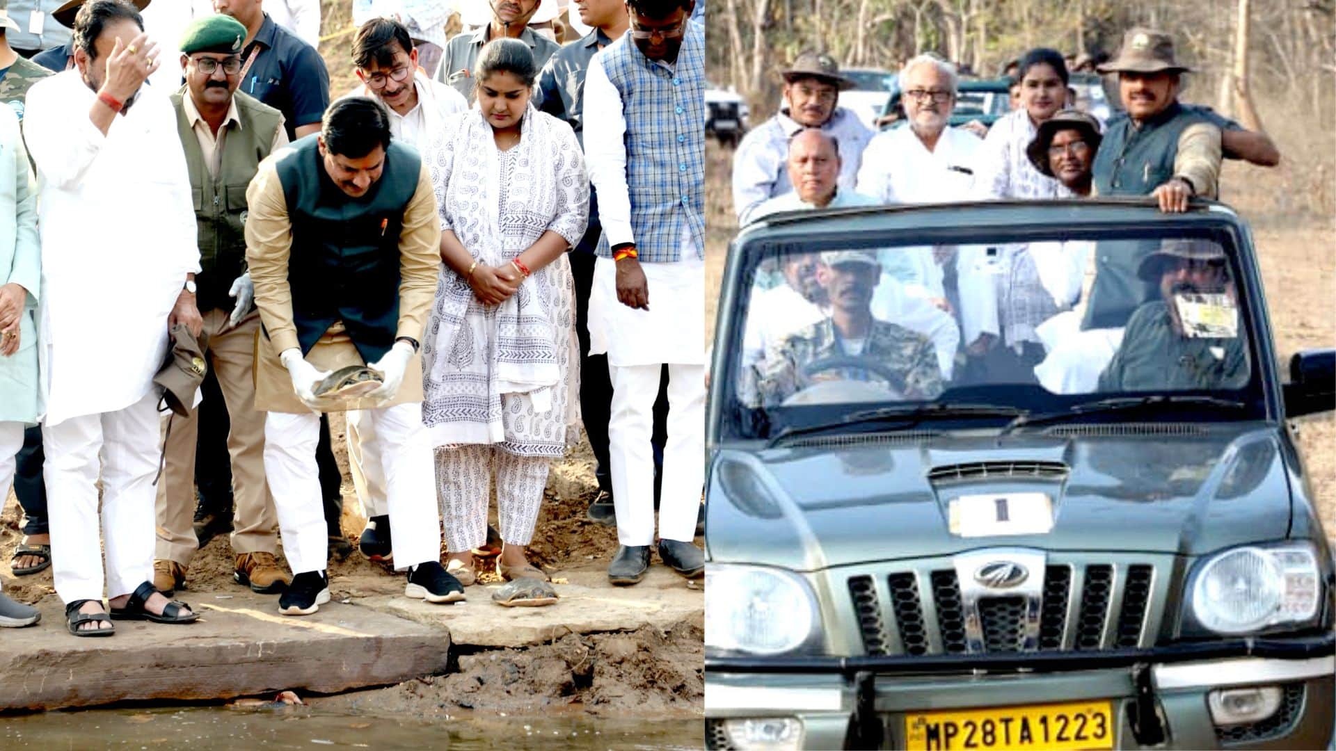 Chief Minister Dr. Mohan Yadav celebrated his birthday in the Tiger Reserve and released turtles in the river