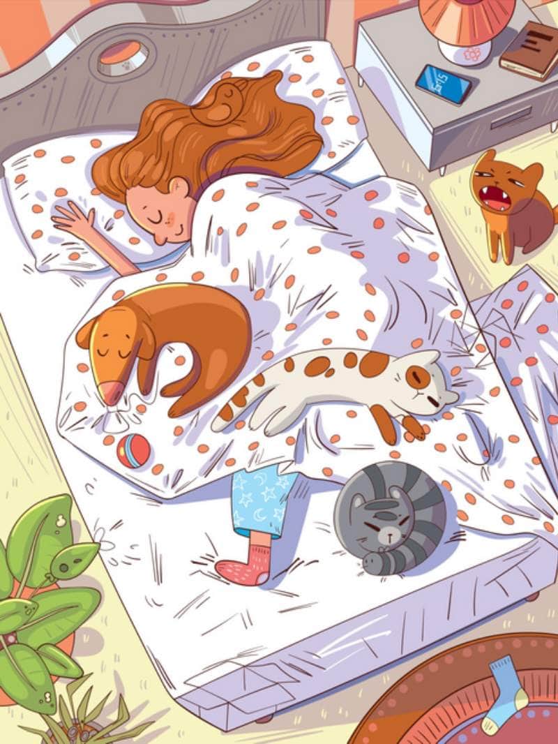 तस्वीर में छिपी है कैची, 10 सेकेंड में खोजने का चैलेंज