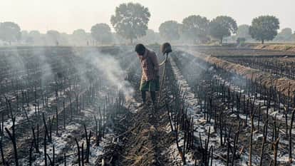 Massive Fire in Nagaur: 10 Bighas of Isabgol Crop Reduced to Ashes; Farmer Suffers Losses Worth Lakhs