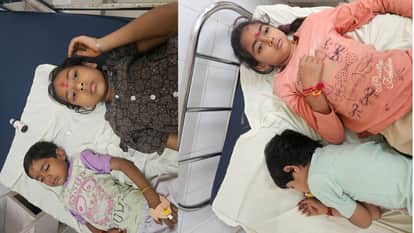 Bee attack in Abohar ahead of Kanjak Pujan seven children and woman injured