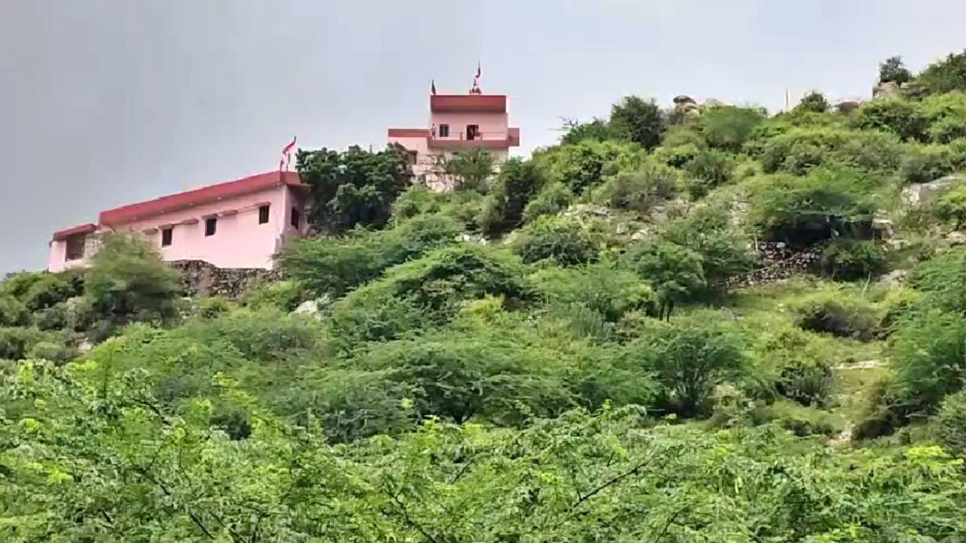 Chaitra Navratri: Devotees Flock to Shrine of Goddess Ashapura at Asalpur Dham on Navratri Ashtami