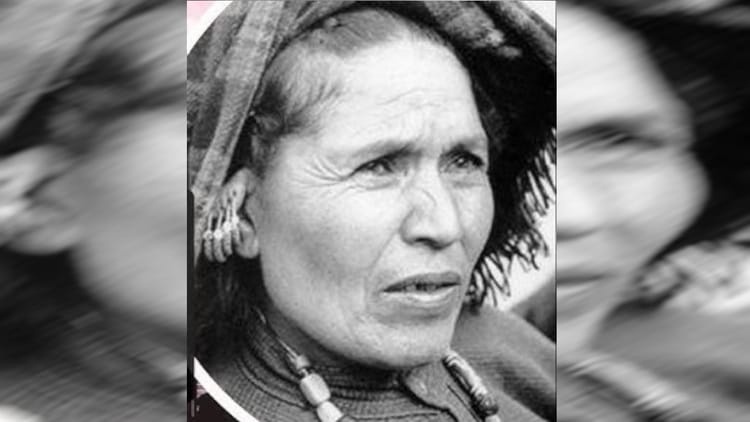 चिपको आंदोलन की 52वीं वर्षगांठ: जंगल बचाने का अनूठा संघर्ष, सत्तर के दशक में जब देश में नहीं थे सख्त कानून