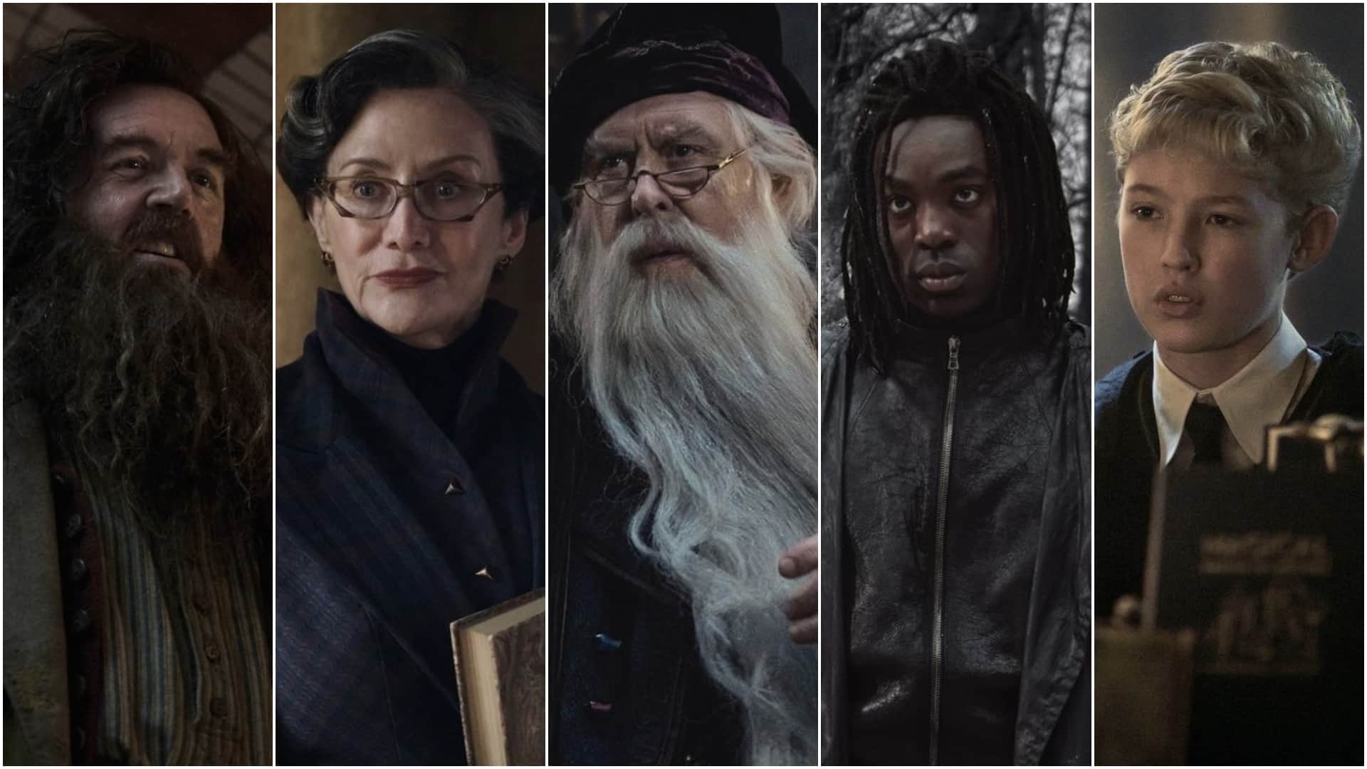 हैरी पॉटर टीवी सीरीज