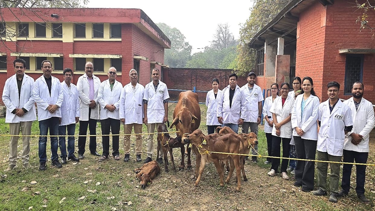 heifer and four calves born via test-tube embryo transfer in IVRI Bareilly