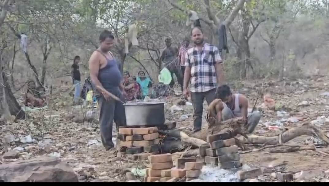 MP News: Fair in the core area of Tiger Reserve, complaint to NTCA and Centre, allegation of violation of wi