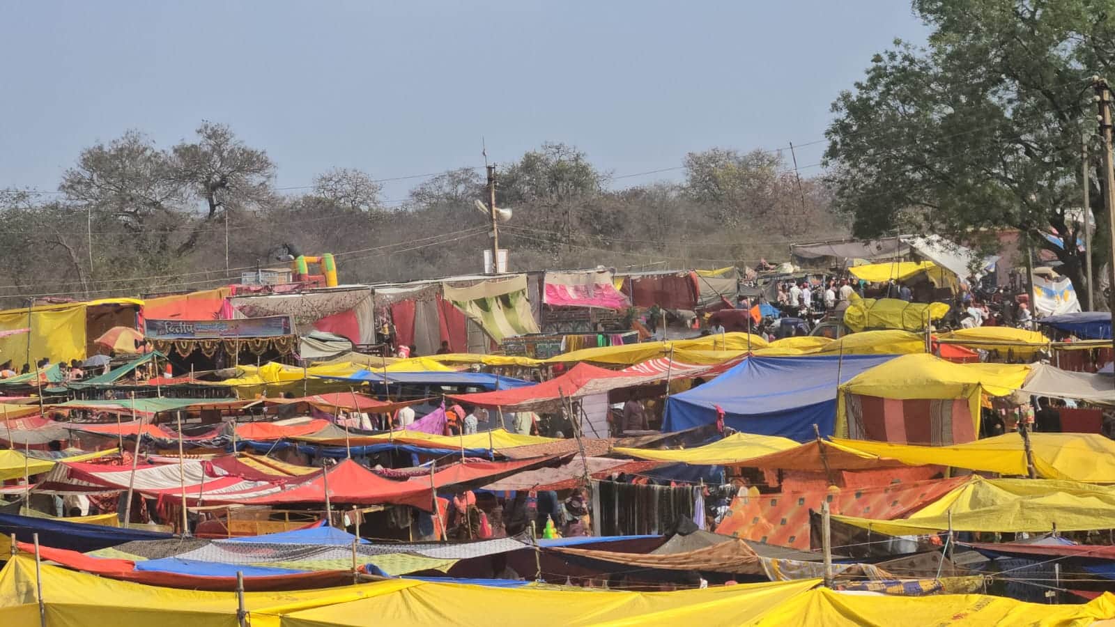 MP News: Fair in the core area of Tiger Reserve, complaint to NTCA and Centre, allegation of violation of wi