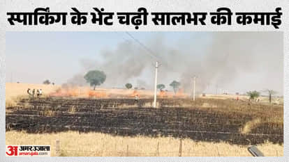 Farmers in Anta suffer heavy losses in standing crops