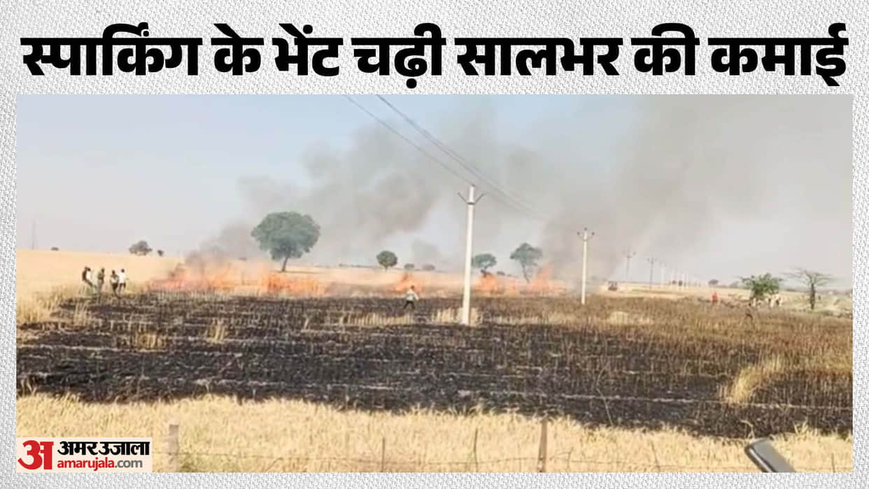 Farmers in Anta suffer heavy losses in standing crops
