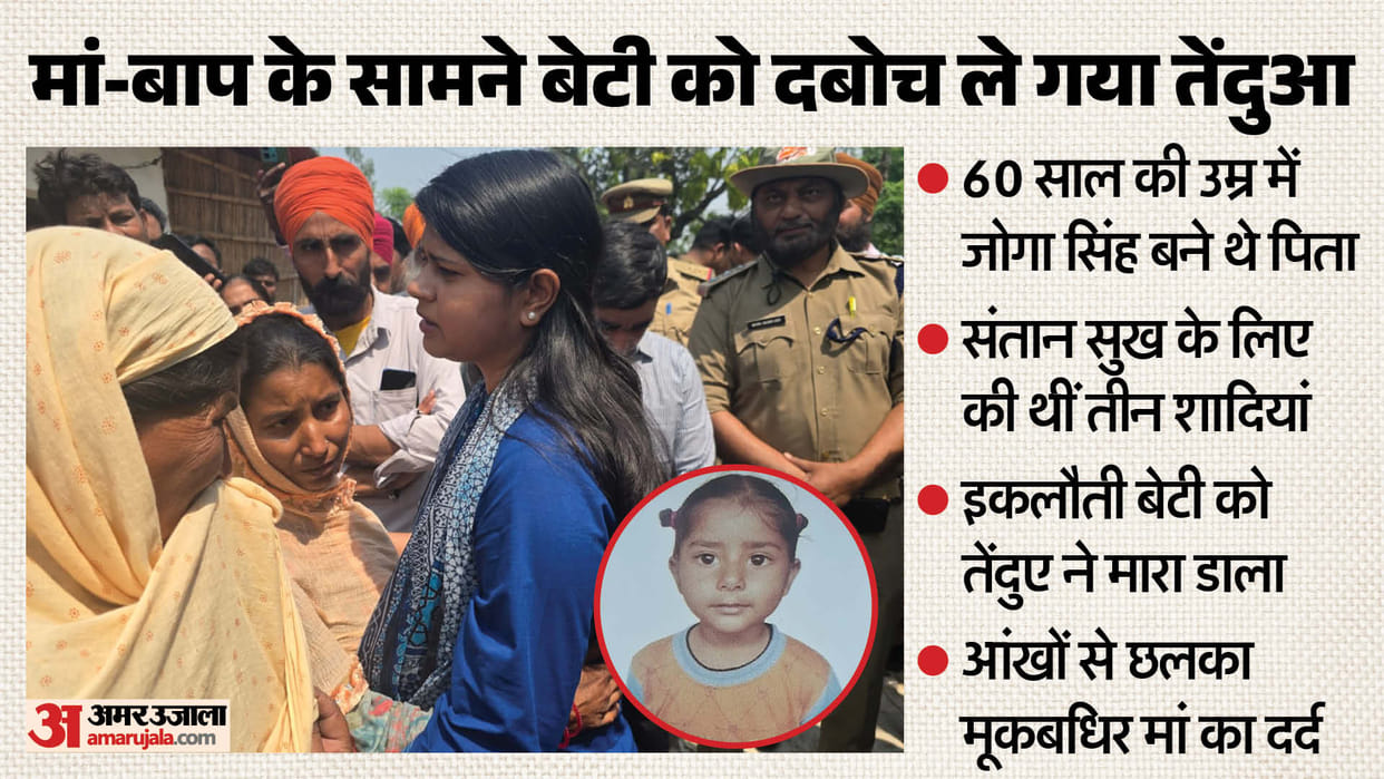 Their only child born after years of prayers she was killed by leopard in Lakhimpur kheri