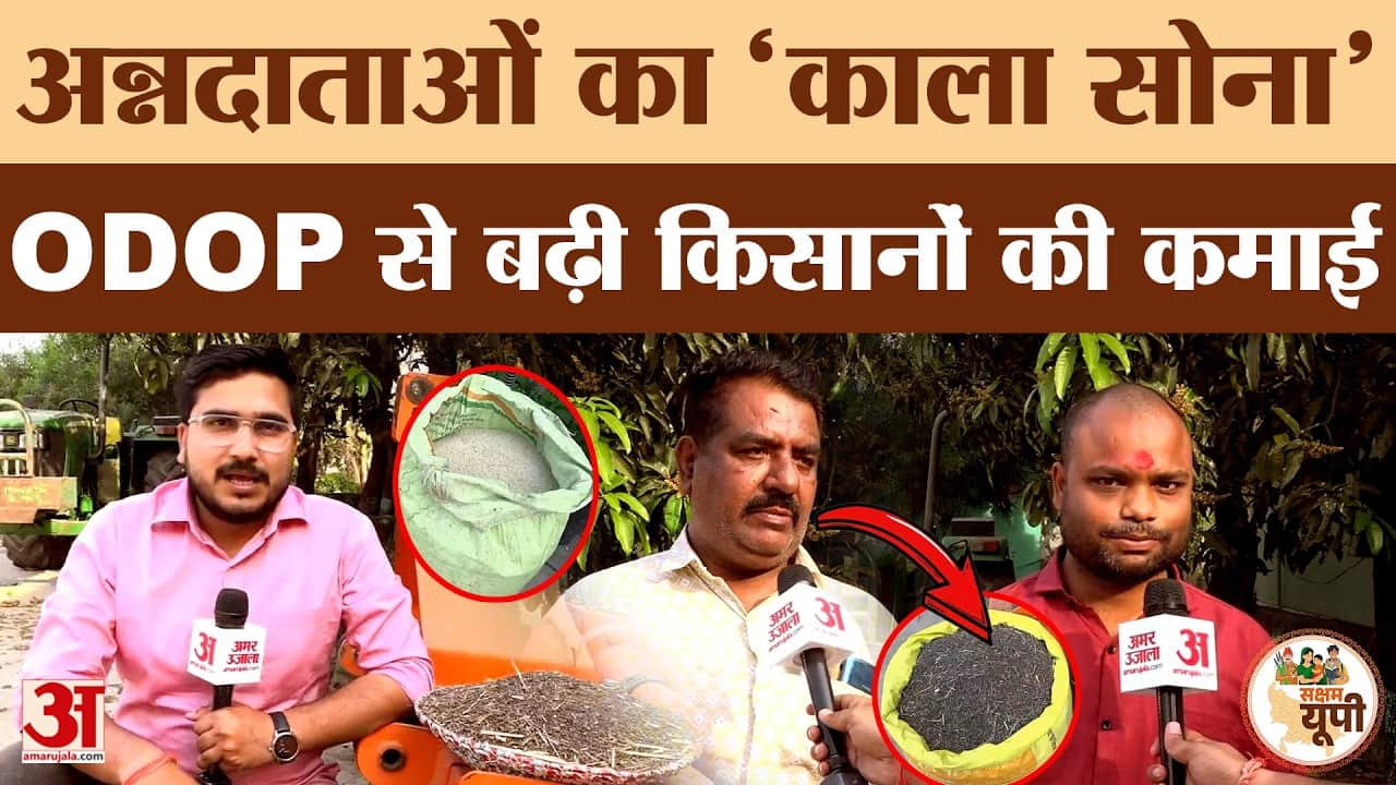 Siddharthnagar: ODOP योजना से चमका काला नमक चावल