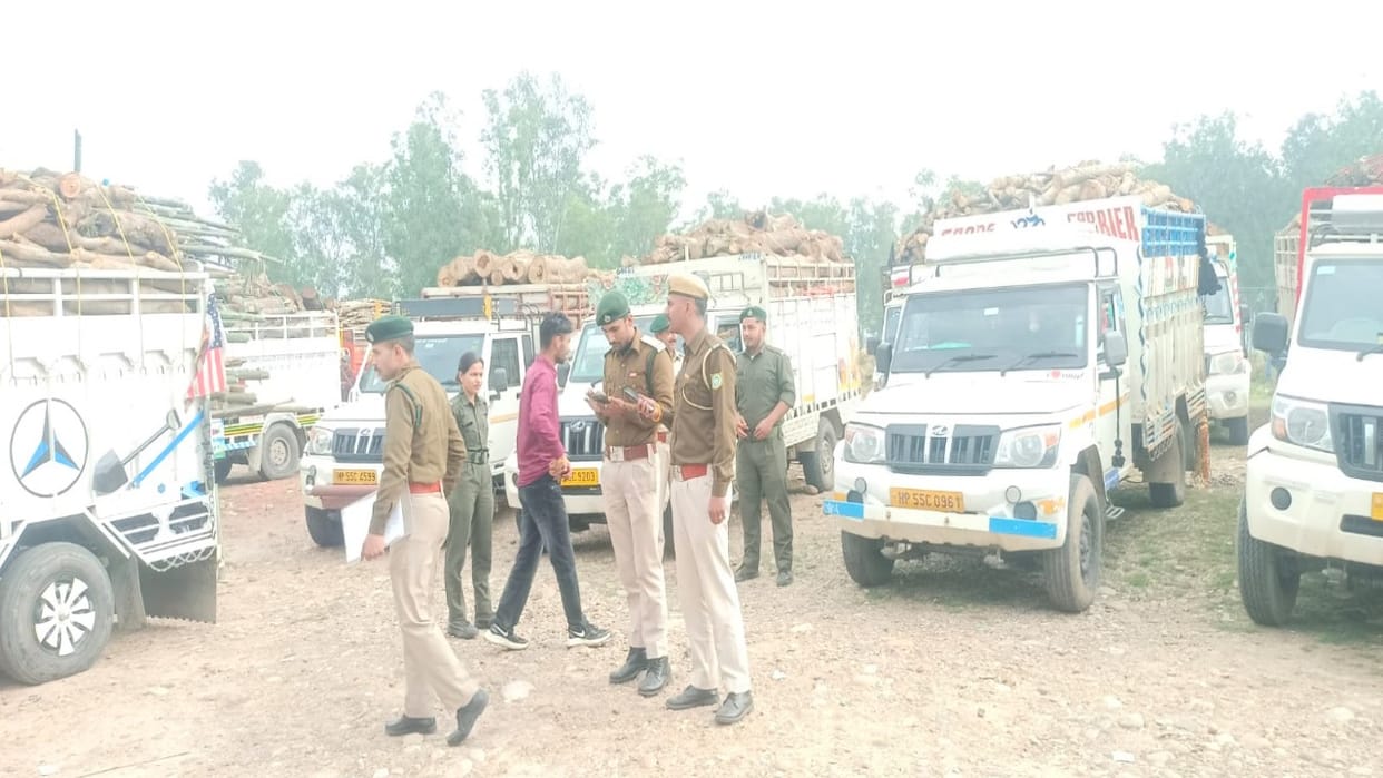 Kangra: 16 Vehicles Loaded with Timber Intercepted in Rakkad, 12 Seized; Forest Department Takes Action