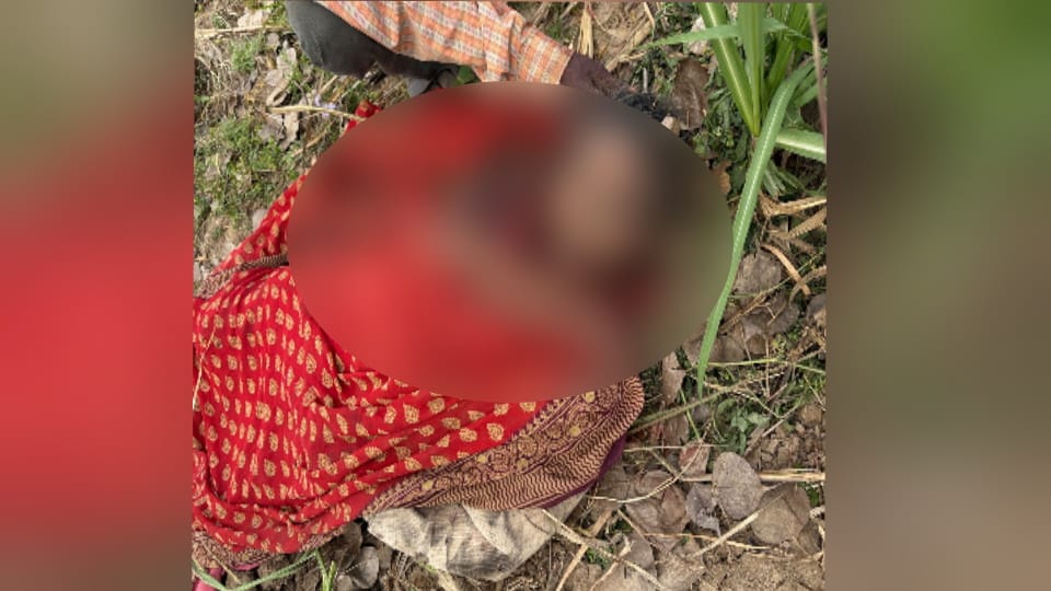 Leopard Attack in Bijnor: 40-Year-Old Woman Killed in Field, Villagers in Panic