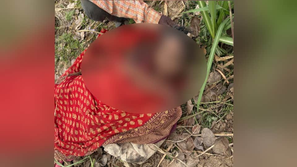 गुलदार के हमले में महिला की मौत