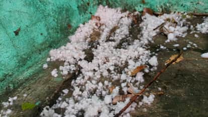 Kaushambi: Weather suddenly changed in Kaushambi, heavy hailstorm caused panic.