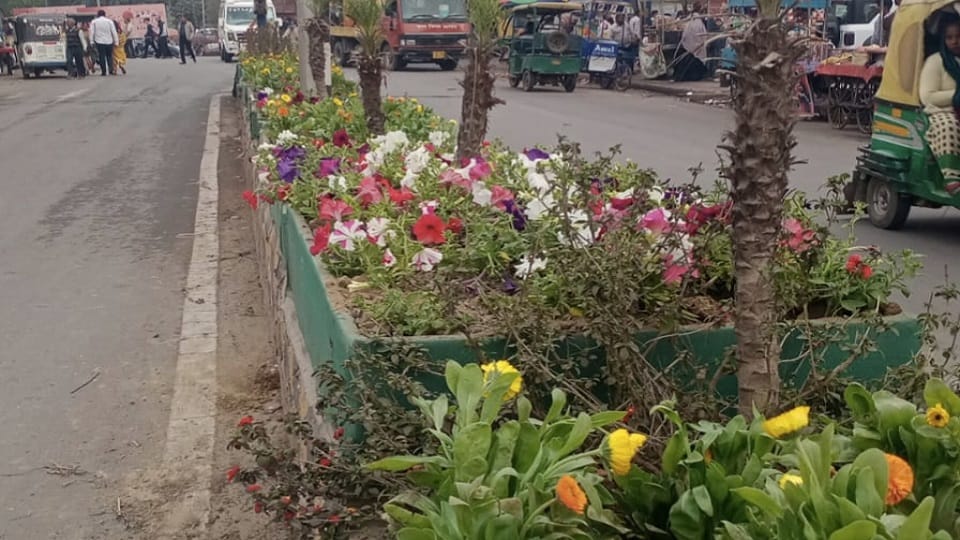 Agra Transforms into a Green City Model with Expanding Urban Green Cover