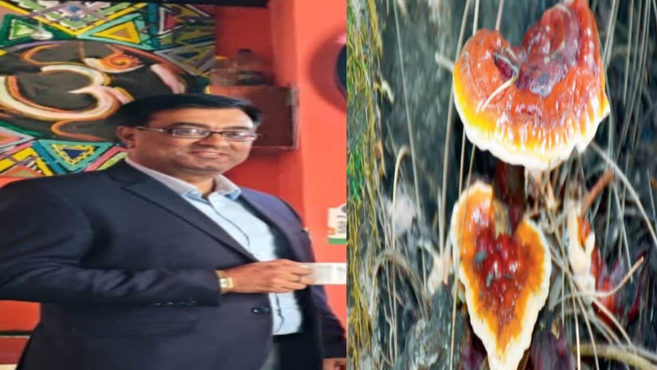 मोहित शर्मा की मशरूम चॉकलेट को नई पहचान।