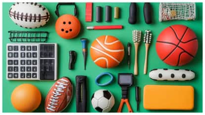 niti aayog report said sports instruments export increase in next 10 years