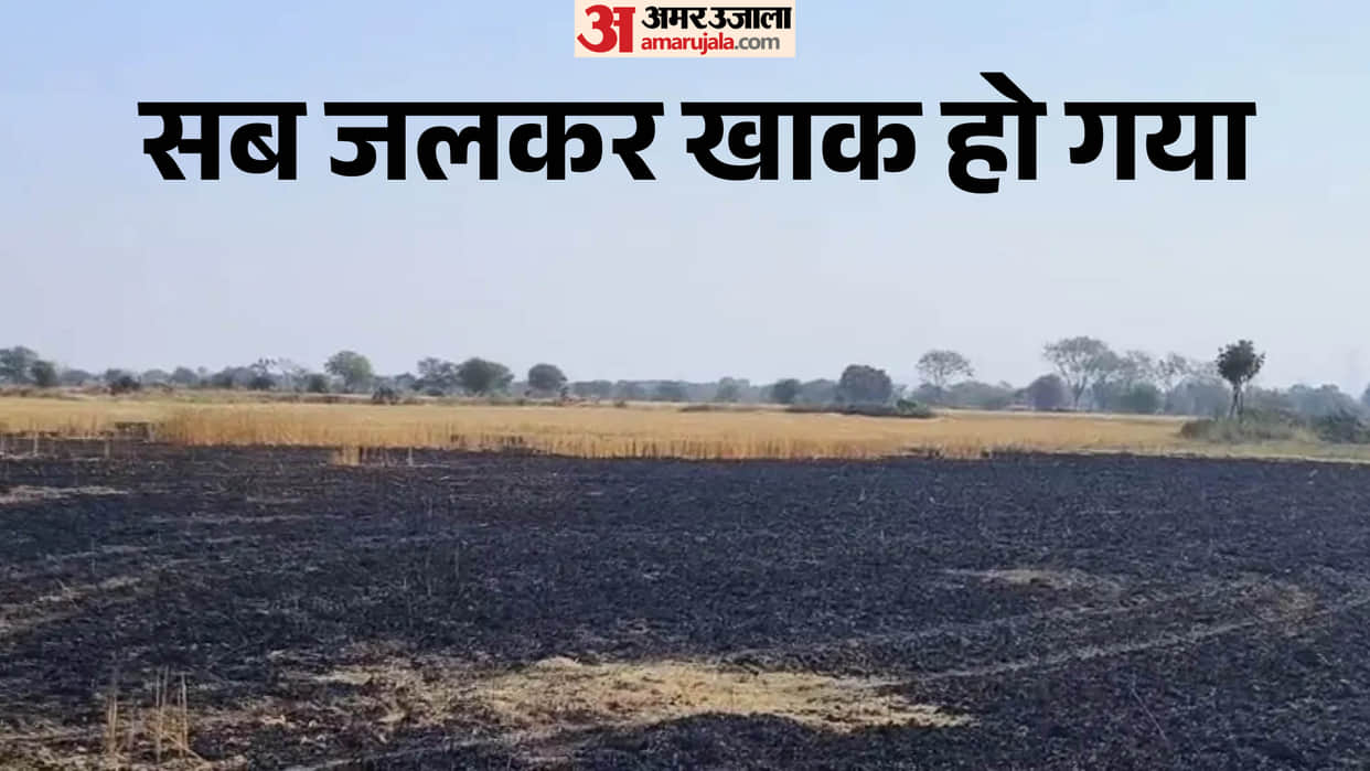 Damoh Farm Fire News: Harvester Spark Burns 3 Acres Crop in Midnight Blaze