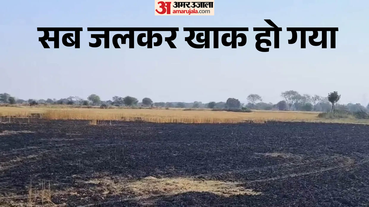 Damoh Farm Fire News: Harvester Spark Burns 3 Acres Crop in Midnight Blaze