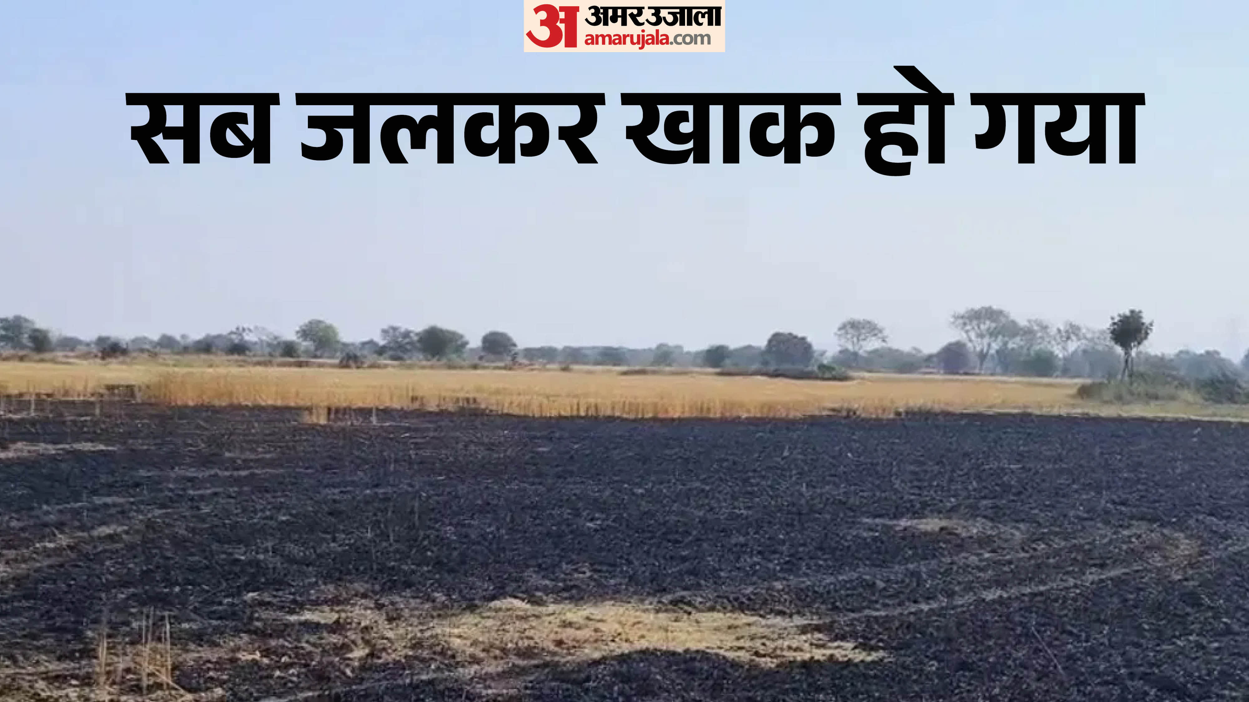 फसल जलकर हो गई खाक