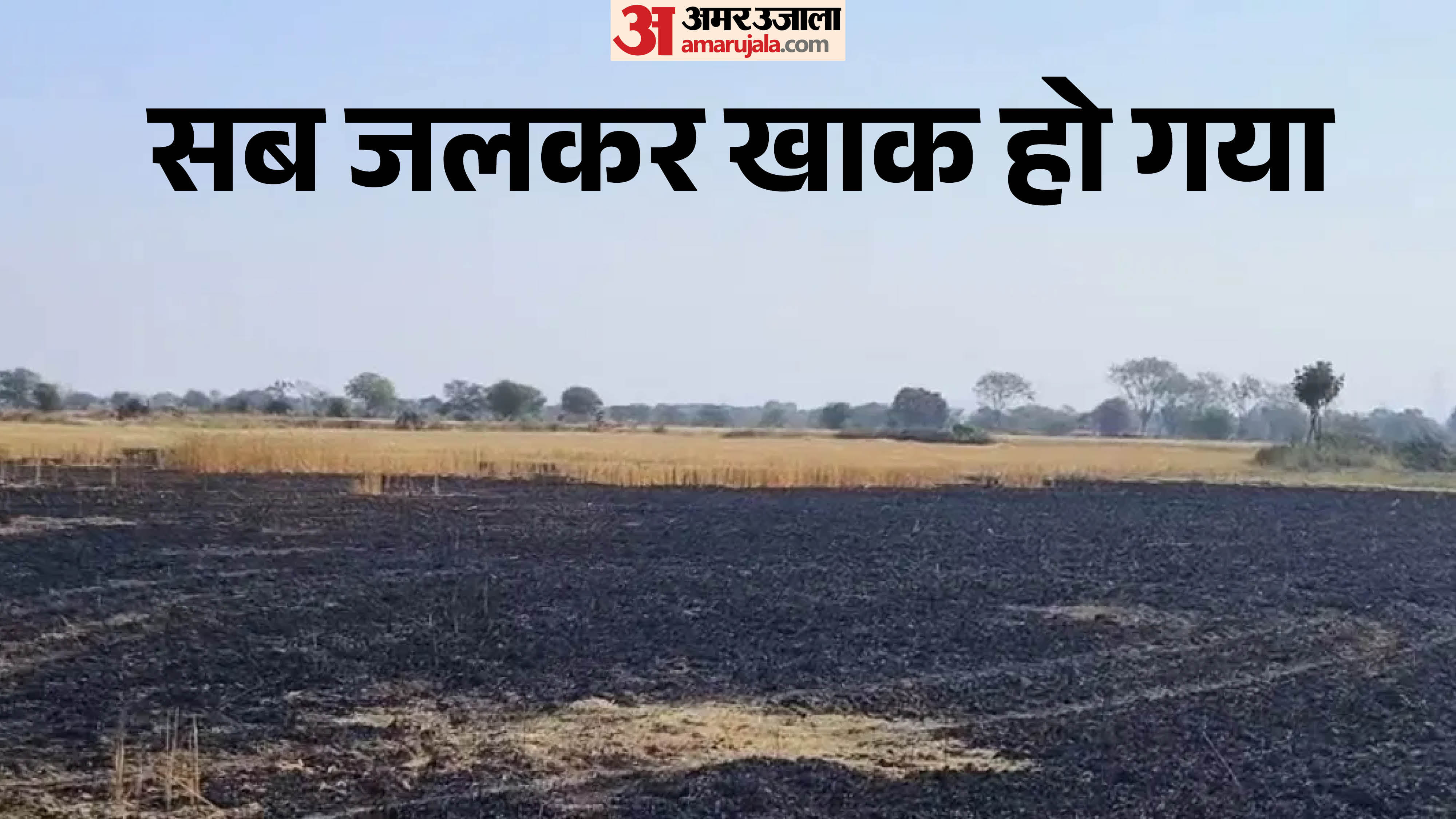 फसल जलकर हो गई खाक