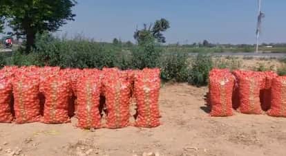 Farrukhabad Record Harvest Proves Farmers Doom Unable to Recover Costs They Are Running Tractors in Fields