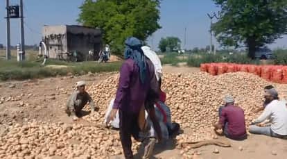 Farrukhabad Record Harvest Proves Farmers Doom Unable to Recover Costs They Are Running Tractors in Fields