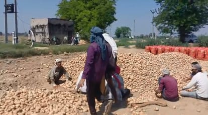 Farrukhabad Record Harvest Proves Farmers Doom Unable to Recover Costs They Are Running Tractors in Fields