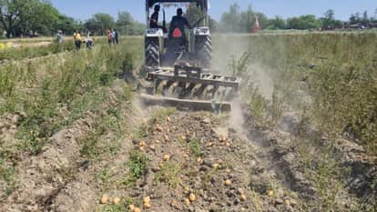 Farrukhabad Record Harvest Proves Farmers Doom Unable to Recover Costs They Are Running Tractors in Fields