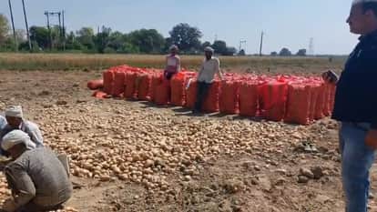 Farrukhabad Record Harvest Proves Farmers Doom Unable to Recover Costs They Are Running Tractors in Fields