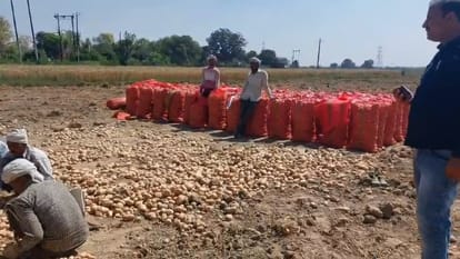 Farrukhabad Record Harvest Proves Farmers Doom Unable to Recover Costs They Are Running Tractors in Fields