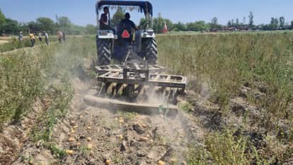 Farrukhabad Record Harvest Proves Farmers Doom Unable to Recover Costs They Are Running Tractors in Fields