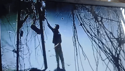 युवक ने बिजली के तार में लगाई आग।