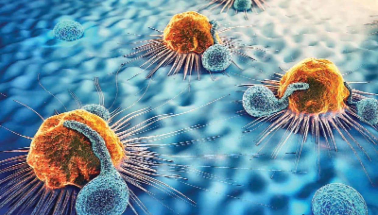 Scientists Revive Zombie Cells Making the Impossible Possible Through Genome Transplantation