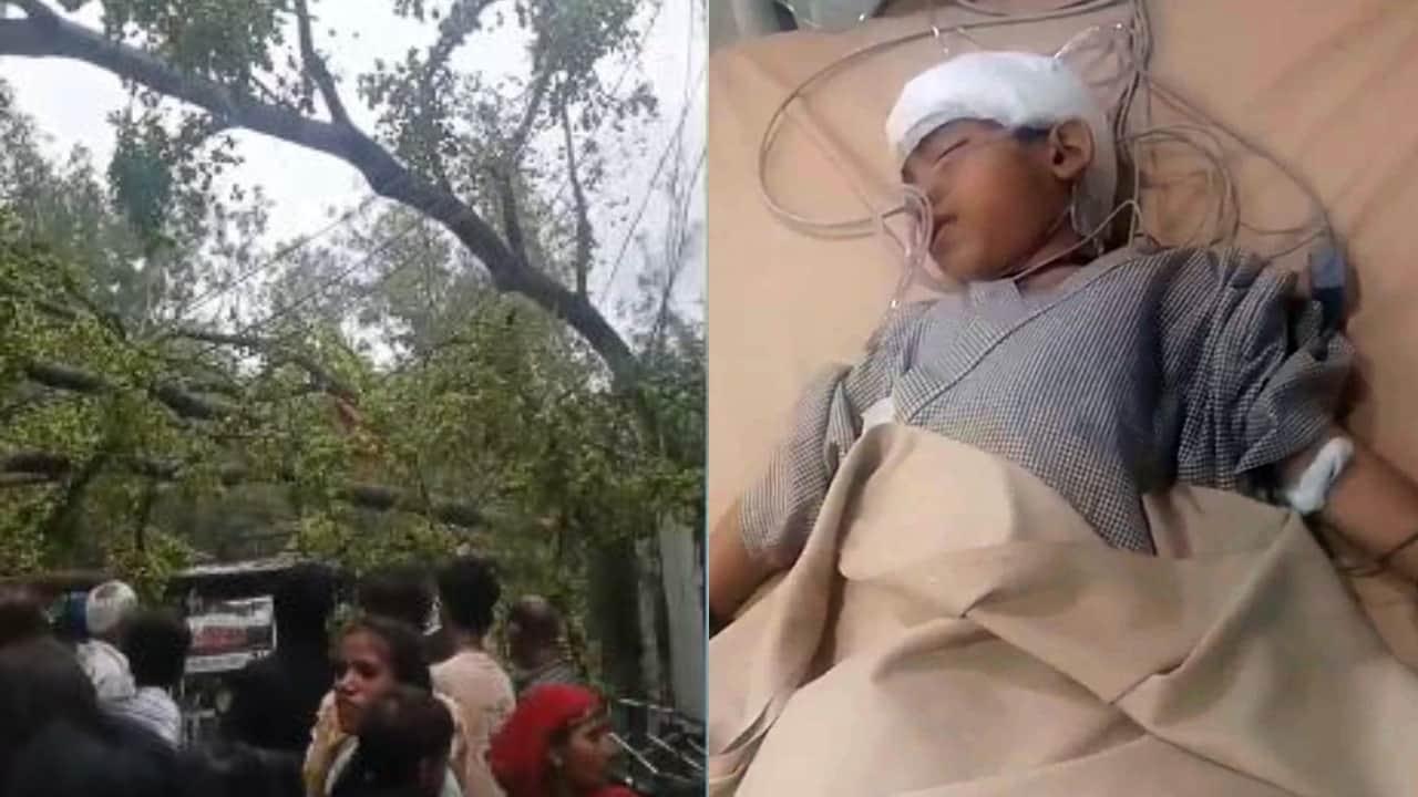 पेड़ गिरने से किशोर घायल