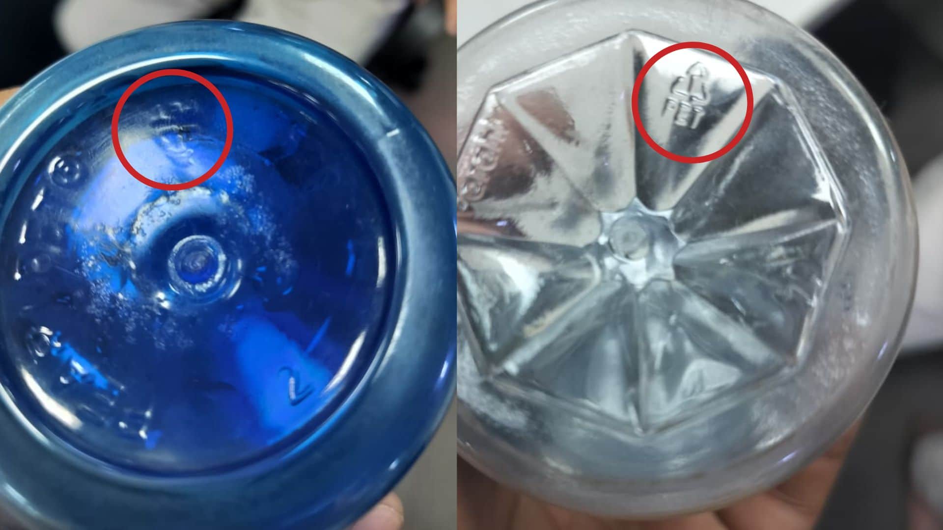 Decoding Plastic Bottle Codes: What Do the Numbers 1 to 7 Mean and Which Are Dangerous for Your Health