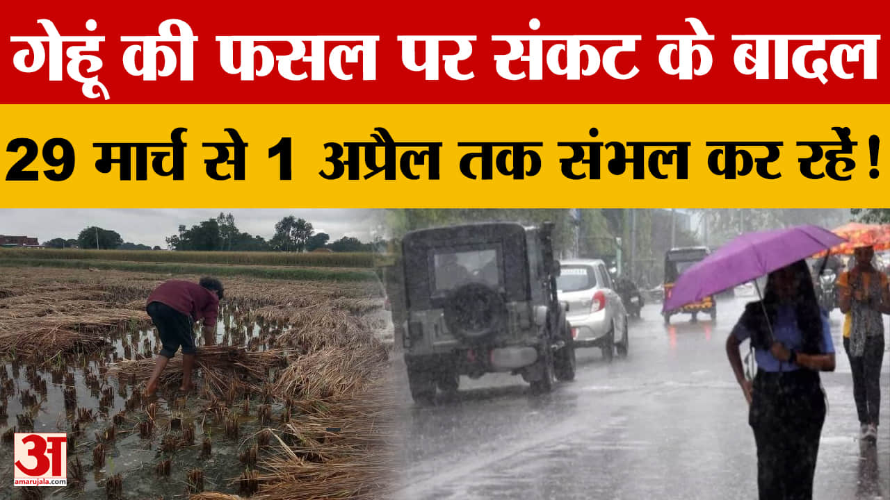 हरियाणा मौसम अपडेट: पश्चिमी विक्षोभ सक्रिय, बारिश-तेज हवाओं का अलर्ट, किसानों की बढ़ी चिंता