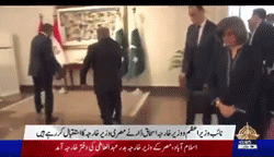 Pakistan Foreign Minister Ishaq Dar Slips on Red Carpet While Welcoming Foreign Dignitaries