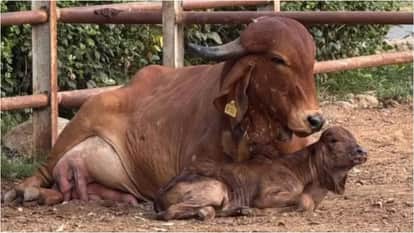 Esha Deol Visit To Late Father Dharmendra farmhouse shares video says Where I find peace