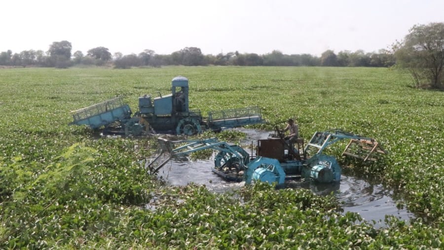 Indore News Sirpur Lake environmental crisis Ramsar site