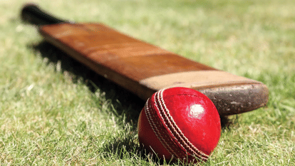 Indore News Madhya Pradesh Cricket League players auction mpl