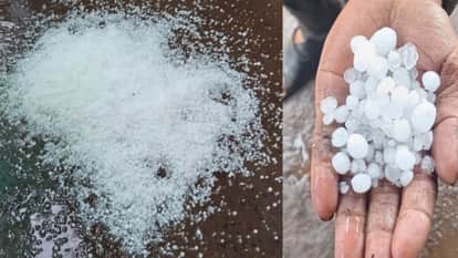 Rain in MP: Weather in MP takes another turn, hailstorm in Neemuch-Ujjain-Dhar, farmers' worries increase