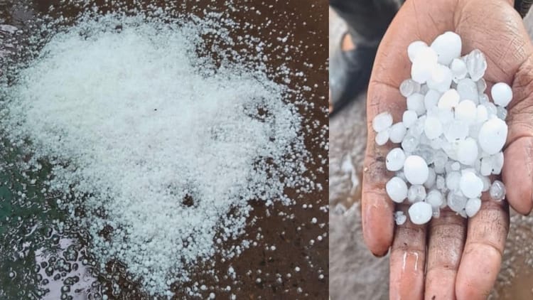 Rain in MP: एमपी में मौसम ने एक बार फिर ली करवट, नीमच-उज्जैन-धार में ओलावृष्टि, किसानों की बढ़ी चिंता