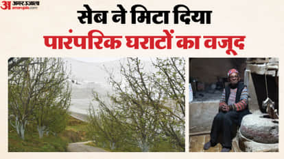 Transformation In Himachal apples brought prosperity but wiped out the existence of traditional watermills